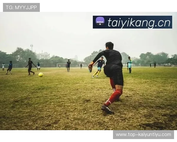 云开体育入口常见问题及解决方案帮助用户快速解决登录难题