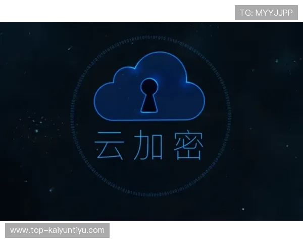 云开体育app最新版本下载安全性分析，保障用户个人信息和账户安全的最佳实践